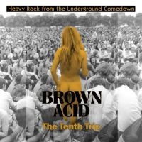 Various Artists - Brown Acid - The Tenth Trip ryhmässä VINYYLI @ Bengans Skivbutik AB (5514698)