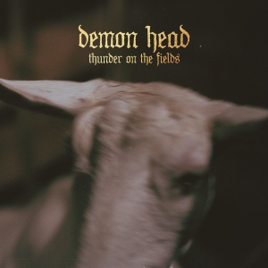 Demon Head - Thunder On The Fields Lp Gold ryhmässä VINYYLI @ Bengans Skivbutik AB (5515229)