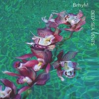 Brhym - Deep Sea Vents ryhmässä CD @ Bengans Skivbutik AB (5515789)