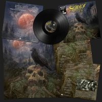 Sentry - Sentry (Vinyl Lp) ryhmässä VINYYLI @ Bengans Skivbutik AB (5516387)