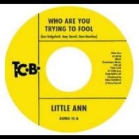 Little Ann - Who Are You Trying To Fool / The Sm ryhmässä VINYYLI @ Bengans Skivbutik AB (5516904)