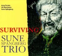 Brus Trio Feat Nordström & Äleklint - Celebration ryhmässä CD @ Bengans Skivbutik AB (5517481)