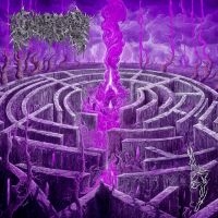 Civerous - Maze Envy (Purple/Magenta Vinyl Lp) ryhmässä Kommande produkter - 10 procent @ Bengans Skivbutik AB (5518435)