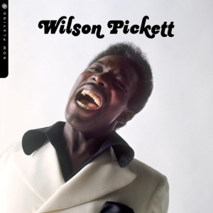 Wilson Pickett - Now Playing ryhmässä VINYYLI @ Bengans Skivbutik AB (5518546)