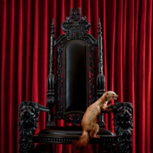 Brume - Marten (Red Vinyl Lp) ryhmässä Kommande produkter - 10 procent @ Bengans Skivbutik AB (5519026)