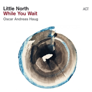 Little North - While You Wait ryhmässä CD @ Bengans Skivbutik AB (5519543)