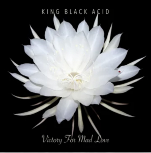 King Black Acid - Victory For Mad Love (Rsd) - IMPORT ryhmässä ME SUOSITTELEMME / Record Store Day / RSD24 @ Bengans Skivbutik AB (5520067)