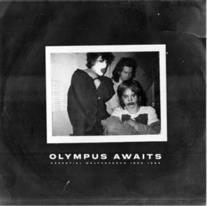 Malfunkshun - Olympus Awaits (Neon Purple Vinyl/2Lp) (Rsd) - IMPORT ryhmässä ME SUOSITTELEMME / Record Store Day / RSD24 @ Bengans Skivbutik AB (5520073)