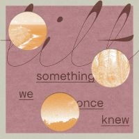 Tilt - Something We Once Knew ryhmässä VINYYLI @ Bengans Skivbutik AB (5521929)