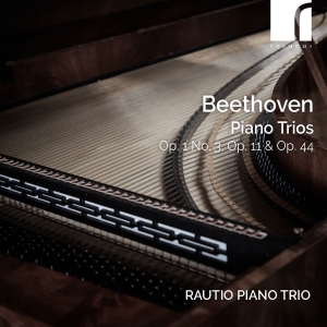 Ludwig Van Beethoven - Piano Trios, Op. 1 No. 3, Op. 11 & ryhmässä CD / Nyheter @ Bengans Skivbutik AB (5522423)