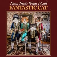 Fantastic Cat - Now That's What I Call Fantastic Ca ryhmässä VINYYLI @ Bengans Skivbutik AB (5524073)