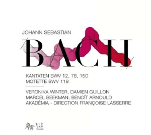 Bach - Cantatas ryhmässä Externt_Lager / Naxoslager @ Bengans Skivbutik AB (552744)