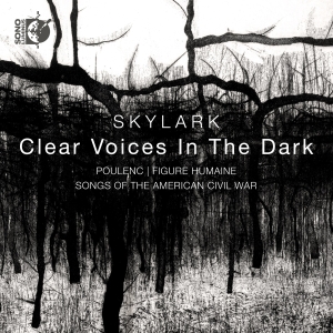 Skylark Matthew Guard - Clear Voices In The Dark ryhmässä CD / Nyheter @ Bengans Skivbutik AB (5535740)