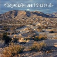 Orquesta Del Desierto - Orquesta Del Desierto ryhmässä ME SUOSITTELEMME / Perjantain julkaisut / Fredag den 14:e Juni 2024 @ Bengans Skivbutik AB (5535794)