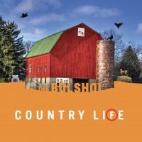 The Bolshoi - Country Life (Green Vinyl & Orange ryhmässä VINYYLI / Pop-Rock @ Bengans Skivbutik AB (5537164)