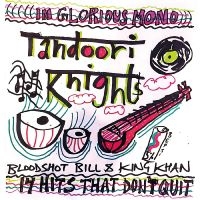 Tandoori Knights - 14 Hits That Don't Quit ryhmässä VINYYLI / Pop-Rock @ Bengans Skivbutik AB (5538856)