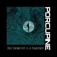 Porcupine - Our Chemistry Is A Tightrope ryhmässä VINYYLI / Pop-Rock @ Bengans Skivbutik AB (5538946)