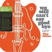 We Still Can't Say Goodbye: A Music - We Still Can't Say Goodbye: A Music ryhmässä VINYYLI / Pop-Rock @ Bengans Skivbutik AB (5538978)