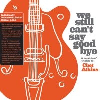 We Still Can't Say Goodbye: A Music - We Still Can't Say Goodbye: A Music ryhmässä VINYYLI / Pop-Rock @ Bengans Skivbutik AB (5538979)