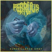 Februus - Surveillance Orgy (Digipack) ryhmässä CD / Hårdrock @ Bengans Skivbutik AB (5539502)