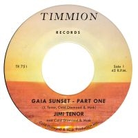 Jimi Tenor & Cold Diamond & Mink - Gaia Sunset ryhmässä VINYYLI / RnB-Soul @ Bengans Skivbutik AB (5539928)