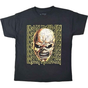 Iron Maiden - Big Trooper Head Boys T-Shirt Bl ryhmässä MERCHANDISE / Merch / Hårdrock @ Bengans Skivbutik AB (5548728r)