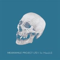 Meanwhile Project Ltd - Sir Mandrill ryhmässä VINYYLI / Pop-Rock @ Bengans Skivbutik AB (5548970)