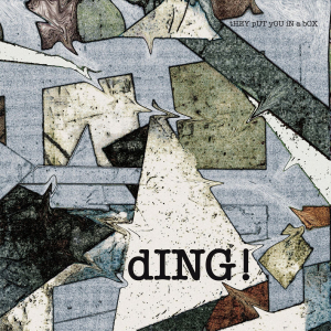 Ding - tHEY pUT yOU iN a bOX ryhmässä VINYYLI / Pop-Rock @ Bengans Skivbutik AB (5549172)