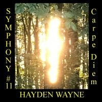 Hayden Wayne - Symphony #11: Carpe Diem ryhmässä ME SUOSITTELEMME / Perjantain julkaisut / Fredag den 7:e Juni 2024 @ Bengans Skivbutik AB (5549782)