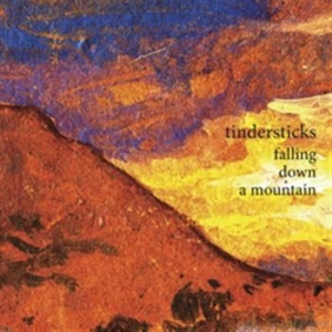 Tindersticks - Falling Down A Mountain ryhmässä Minishops / Tindersticks @ Bengans Skivbutik AB (555449)