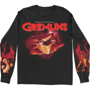 Warner Bros - Gremlins What It Seems Bl Longsleeve ryhmässä MERCHANDISE / T-paita / Film-Musikal @ Bengans Skivbutik AB (5555675r)