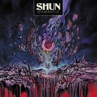 Shun - Dismantle ryhmässä CD / Pop-Rock @ Bengans Skivbutik AB (5555824)