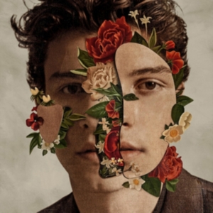 Shawn Mendes  - The Album ryhmässä -Start Jan R1 @ Bengans Skivbutik AB (5556120)