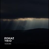 Pokaz Trio - Voices ryhmässä ME SUOSITTELEMME / Perjantain julkaisut / Fredag den 2:e augusti @ Bengans Skivbutik AB (5556506)