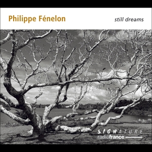 Philippe Fénelon - Still Dreams ryhmässä ME SUOSITTELEMME / Perjantain julkaisut / Fredag den 23:e augusti @ Bengans Skivbutik AB (5558110)