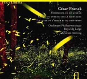 Franck Cesar - Symphony In D Minor ryhmässä Externt_Lager / Naxoslager @ Bengans Skivbutik AB (555826)