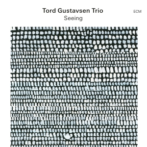 Tord Gustavsen Trio - Seeing ryhmässä ME SUOSITTELEMME / Perjantain julkaisut / Fredag den 4:e oktober 2024 @ Bengans Skivbutik AB (5558451)