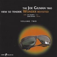 Joe Gilman - View So Tender: Wonder Revisited Vo ryhmässä CD / Jazz @ Bengans Skivbutik AB (5559084)