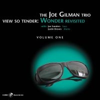 Joe Gilman - View So Tender: Wonder Revisited Vo ryhmässä CD / Jazz @ Bengans Skivbutik AB (5559087)