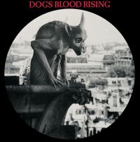 Current 93 - Dogs Blood Rising (Picture Disc Vin ryhmässä ME SUOSITTELEMME / Perjantain julkaisut / Fredag den 30:e augusti 2024 @ Bengans Skivbutik AB (5559500)