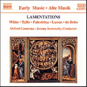 Various - Lamentations ryhmässä Externt_Lager / Naxoslager @ Bengans Skivbutik AB (556034)