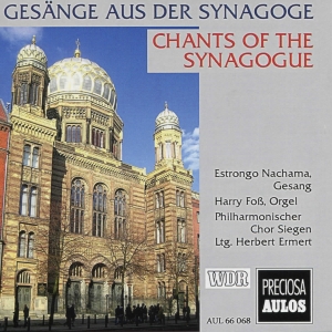 Louis Lewandowski Salomon Sulzer - Chants Of The Synagogue ryhmässä ME SUOSITTELEMME / Joululahjavinkki: CD @ Bengans Skivbutik AB (5561042)