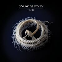 Snow Ghosts - Husk (Clear Vinyl) ryhmässä VINYYLI / Pop-Rock @ Bengans Skivbutik AB (5561048)