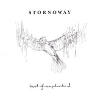 Stornoway - Best Of: Unplucked (Eco Mix Vinyl) ryhmässä ME SUOSITTELEMME / Perjantain julkaisut / Perjantai 29 marraskuuta 2024 @ Bengans Skivbutik AB (5562078)