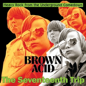 Various Artists - Brown Acid: The 17Th Trip ryhmässä VINYYLI / Pop-Rock @ Bengans Skivbutik AB (5562724)