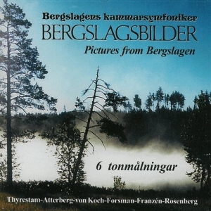 Bergslagens Kammarsymfoniker - Bergslagsbilder ryhmässä Externt_Lager / Naxoslager @ Bengans Skivbutik AB (556293)