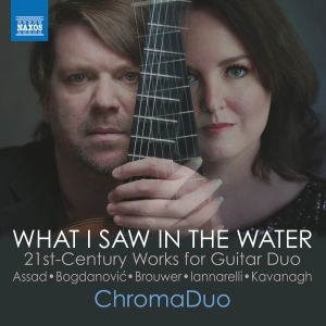 Chromaduo - What I Saw In The Water ryhmässä ME SUOSITTELEMME / Perjantain julkaisut / Fredag den 11:e oktober 2024 @ Bengans Skivbutik AB (5563083)