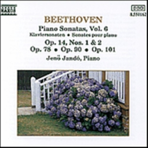 Beethoven Ludwig Van - Piano Sonatas Vol 6 ryhmässä Externt_Lager / Naxoslager @ Bengans Skivbutik AB (556370)