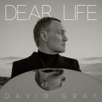 David Gray - Dear Life ryhmässä VINYYLI @ Bengans Skivbutik AB (5565975)