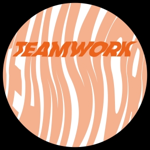 Various - Teamwork Vol. Iii ryhmässä VINYYLI / Elektroniskt @ Bengans Skivbutik AB (5566268)